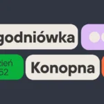 Tygodniówka Konopna tydzień 17/52