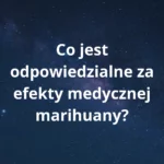 Banner artykułu Co jest odpowiedzialne za efekty medycznej marihuany?