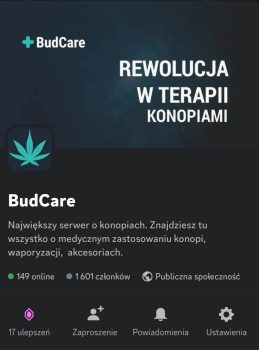 BudCare Discord podgląd wizytówki